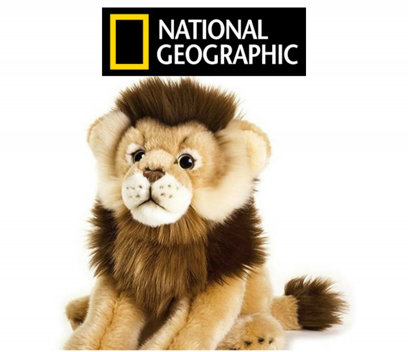 Lion medium size Soft Toy National Geographic