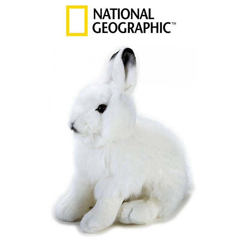 Artic Hare h.25cm Realistic Italian Design National Geographic