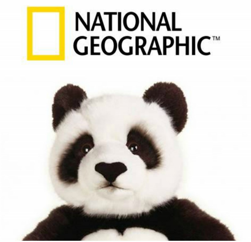 Panda Bear size h.26cm Stuffed Animals National Geographic